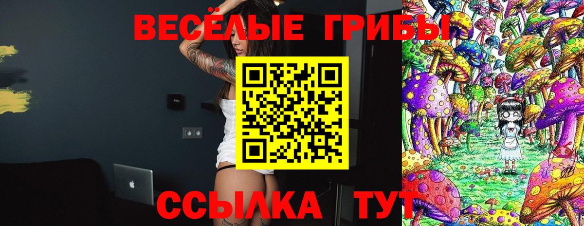 Тавда  Галлюциногенные грибы Cubensis  Псилоцибиновые грибы GOLDEN TEACHER  Вход с VPN 